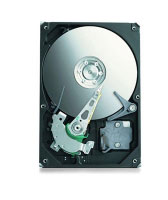 Seagate Barracuda 7200.9 250 GB (ST3250623A-RK)